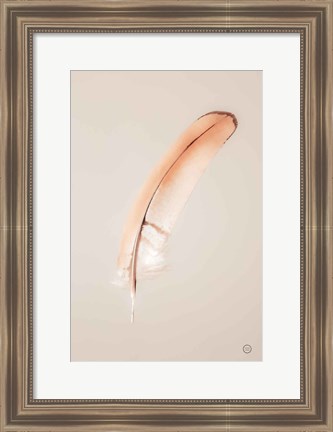 Framed Floating Feathers III Print