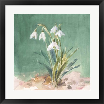 Framed Soft Dewdrops Print