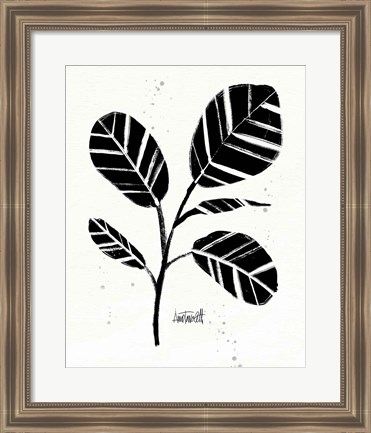 Framed Botanical Sketches IV Print