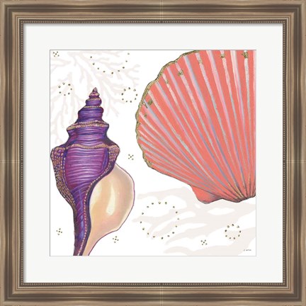 Framed Shimmering Shells I Print