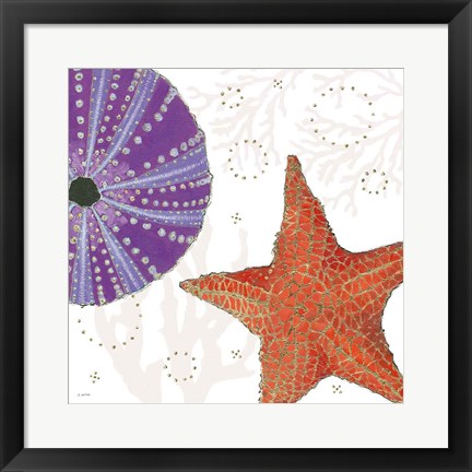 Framed Shimmering Shells III Print