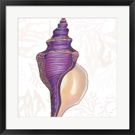 Framed Shimmering Shells IX Print