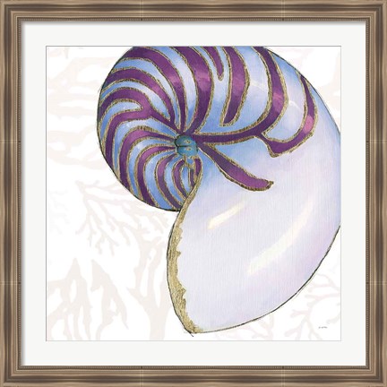 Framed Shimmering Shells VI Print