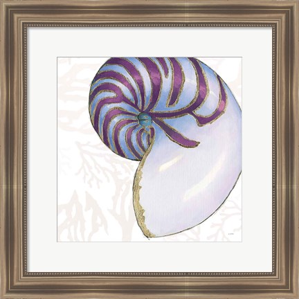 Framed Shimmering Shells VI Print