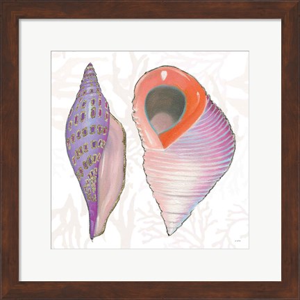 Framed Shimmering Shells X Print