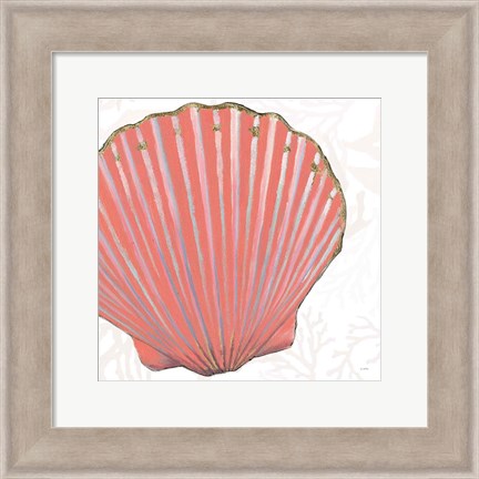 Framed Shimmering Shells XI Print