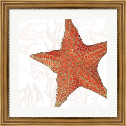 Framed Shimmering Shells XIII Print