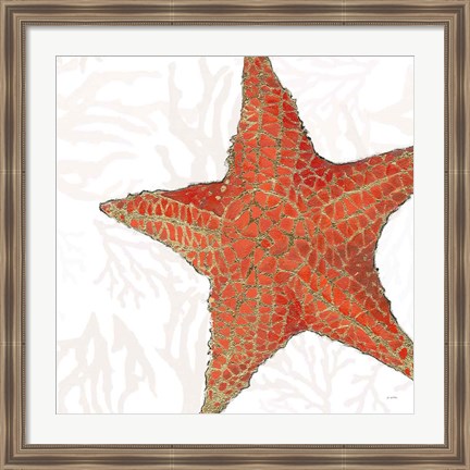 Framed Shimmering Shells XIII Print