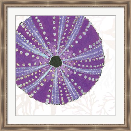 Framed Shimmering Shells XIV Print