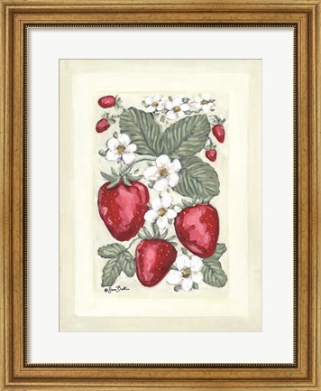 Framed Sweet Summer Strawberries II Print