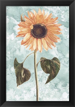 Framed Vintage Sunflower Print