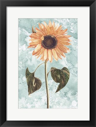 Framed Vintage Sunflower Print