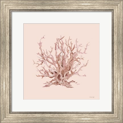 Framed Pink Coral I Print