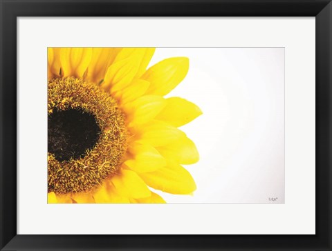 Framed Sunflower Close-up Print