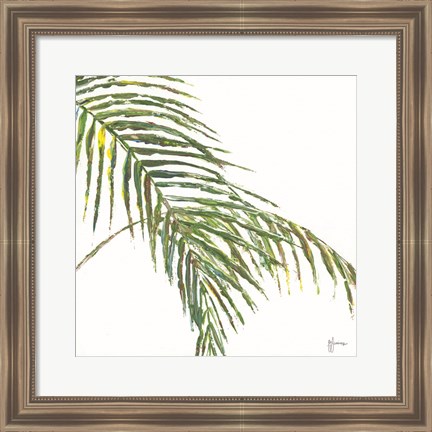 Framed Two Palm Fronds II Print