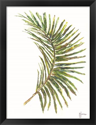 Framed Palm Frond Vibrant Print