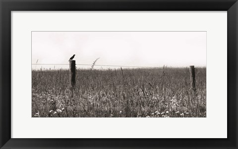 Framed Country Field Print