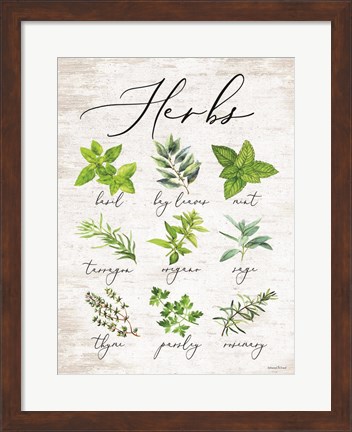 Framed Herbs Print