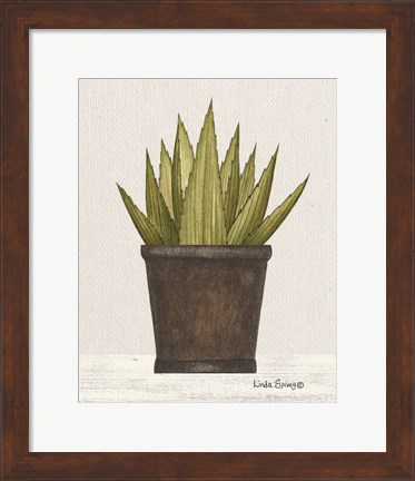 Framed Potted Aloe Vera Print