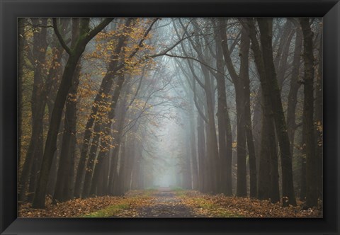 Framed Moody Autumn Print