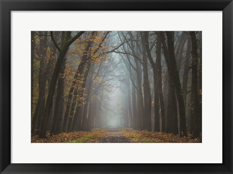 Framed Moody Autumn Print