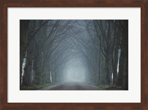 Framed Old Beeches Print