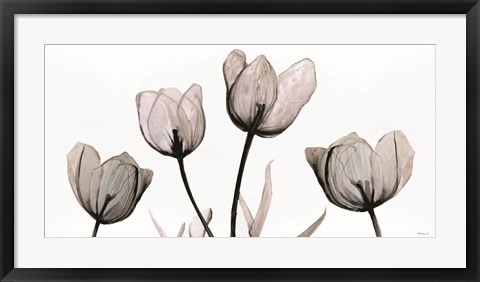 Framed Floral Simplicity Print