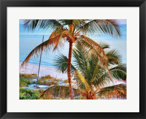 Framed Colors of Florida Print