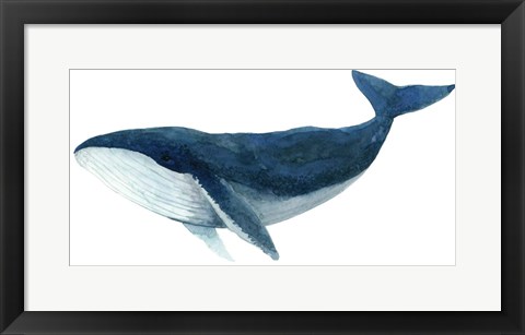 Framed Humpback Whale - Blue Print