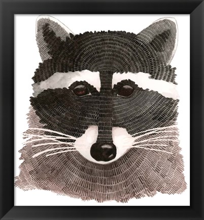 Framed Raccoon Print