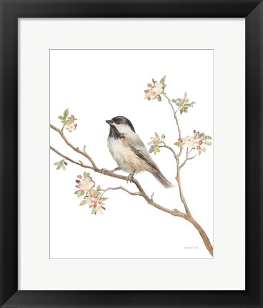 Framed Black Capped Chickadee v2 on White Print