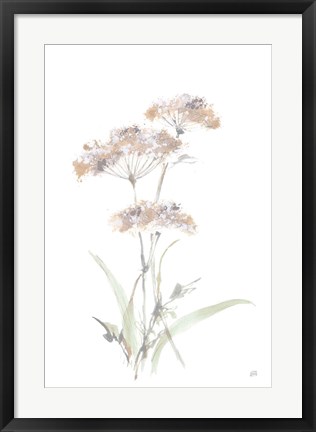 Framed Tall Queen Annes Lace IV Print