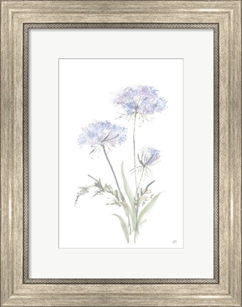 Framed Tall Queen Annes Lace I Print