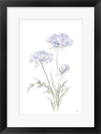 Framed Tall Queen Annes Lace I Print