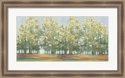 Framed Aspen Grove III Print