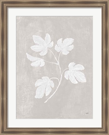 Framed Botanical Study III Neutral Crop Print