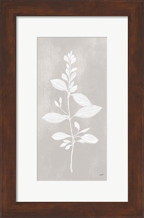 Framed Botanical Study VIII Neutral Print