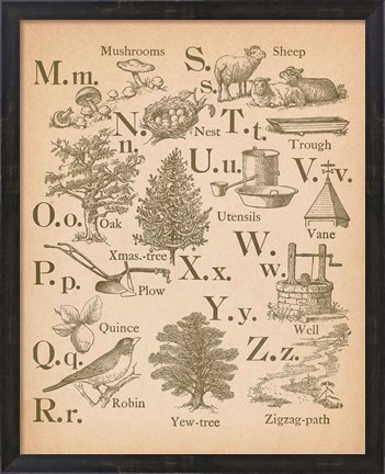 Framed Vintage Alphabet II Print