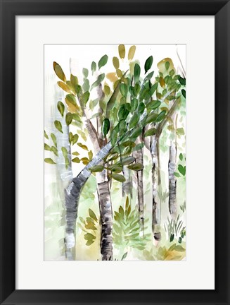 Framed Birch Forest I Print