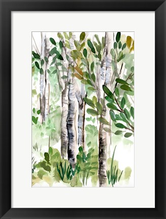 Framed Birch Forest II Print