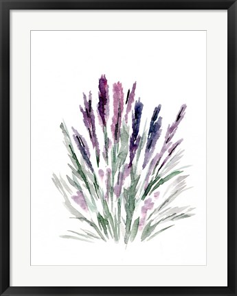 Framed Lavender Print