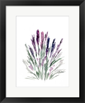 Framed Lavender Print