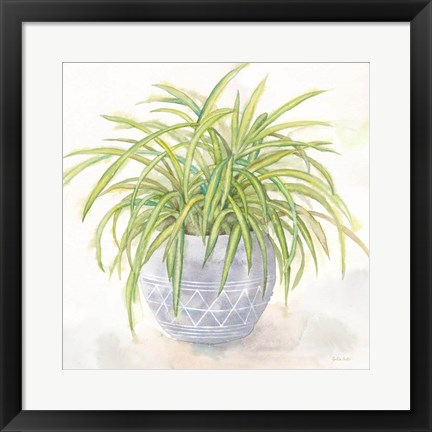 Framed Houseplant II-Spider Plant Print