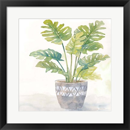 Framed Houseplant III-Split Leaf Philodendron Print