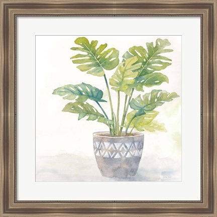 Framed Houseplant III-Split Leaf Philodendron Print