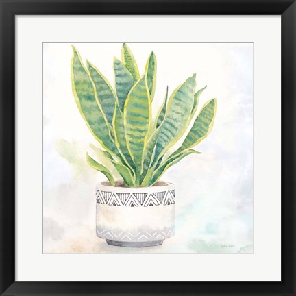 Framed Houseplant IV-Snake Plant Print