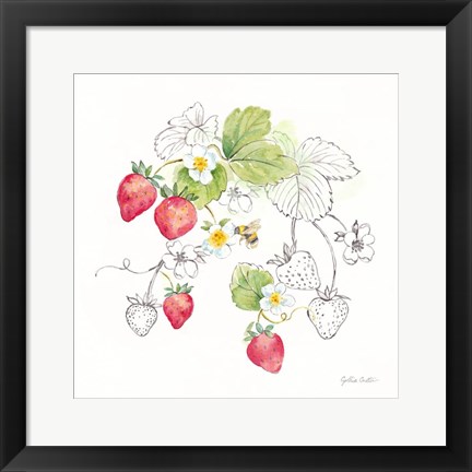 Framed Berries and Bees II Print