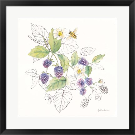 Framed Berries and Bees III Print