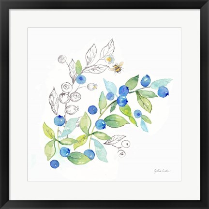 Framed Berries and Bees IV Print