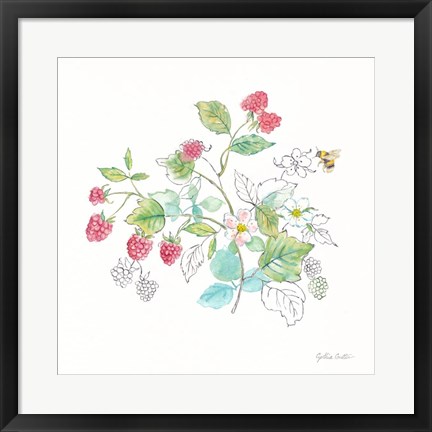 Framed Berries and Bees V Print